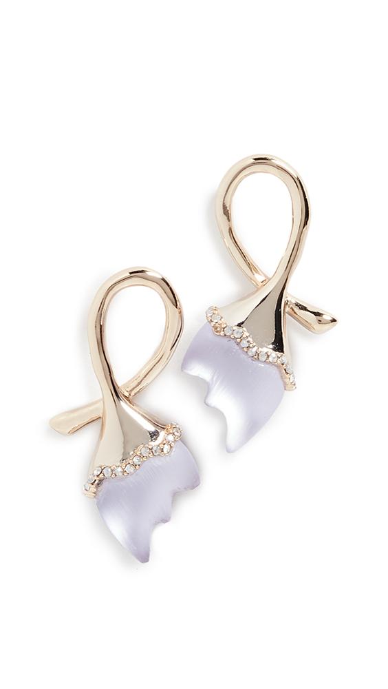 Lizzie Fortunato Sunset Hoops