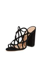 Schutz Nurten Block Heel Mules