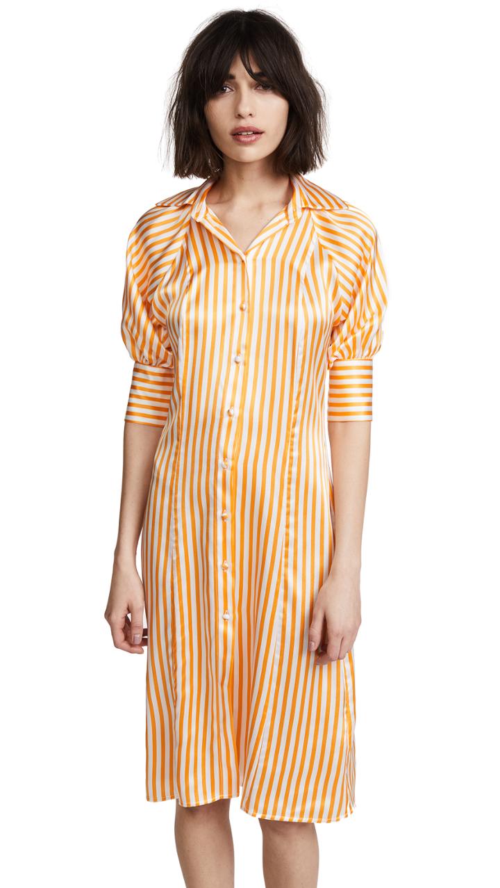 Maggie Marilyn Toni Shirt Dress
