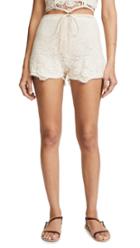 Maggie Marilyn Toni Shirt Dress