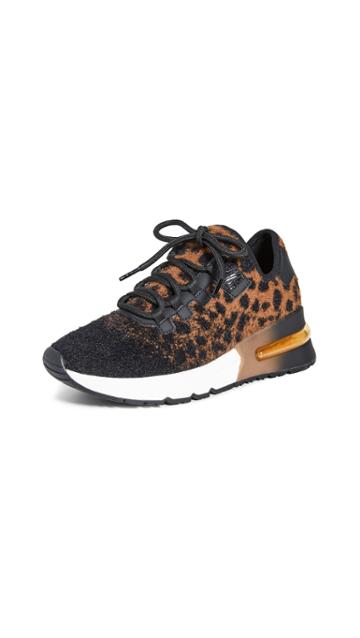 Ash Krush Sneakers