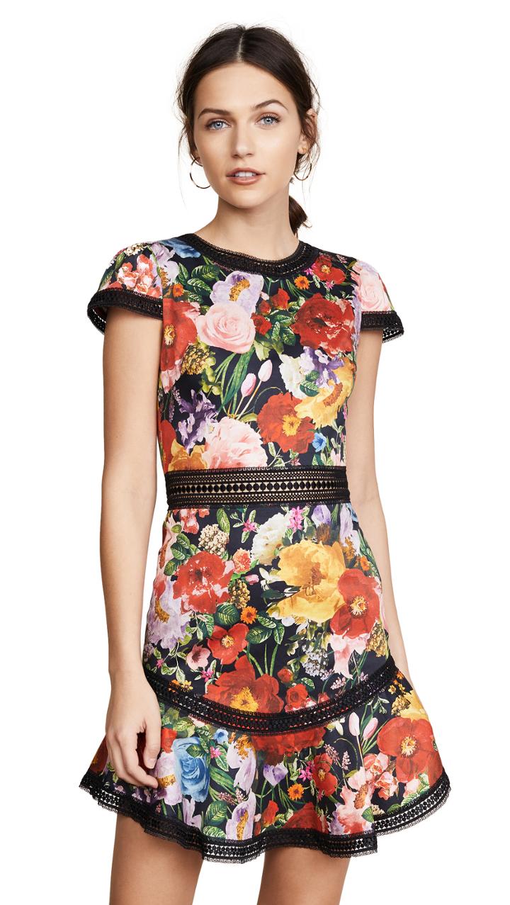 Alice Olivia Rapunzel Flutter Dress