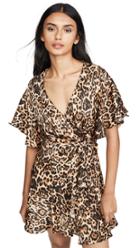 Bb Dakota Wild Card Dress
