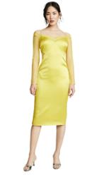 Cushnie Pencil Dress With Long Sleeve Lace Underlay