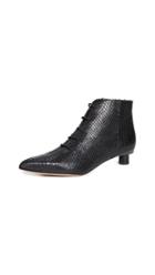 Tibi Asher Boot
