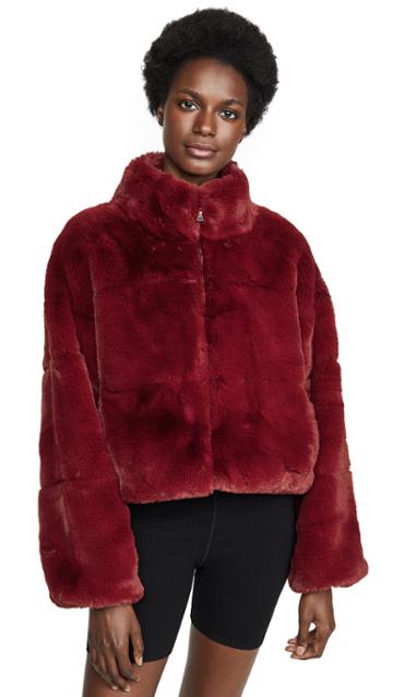 Tiger Mist Xander Jacket