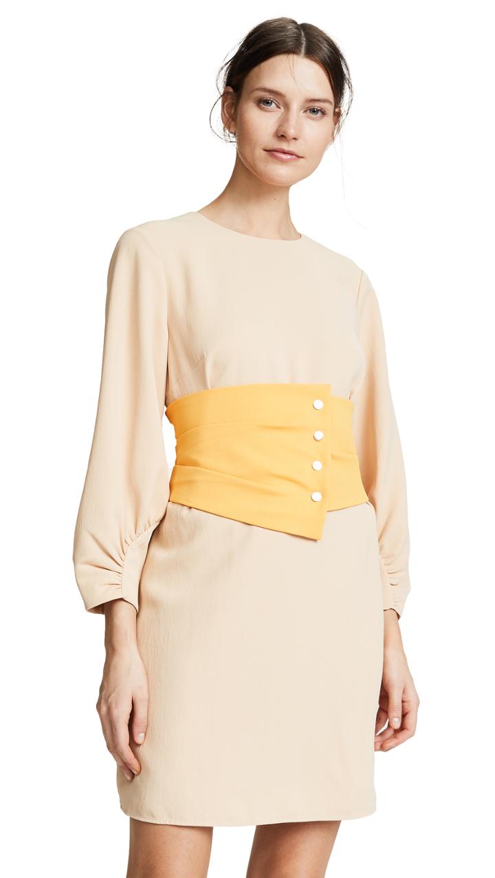 Tibi Shirred Corset Dress