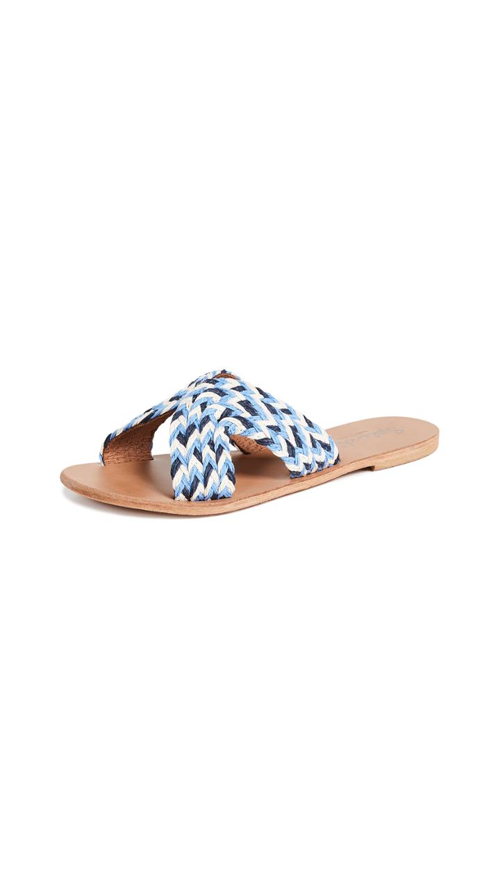 Splendid Sydney Slides