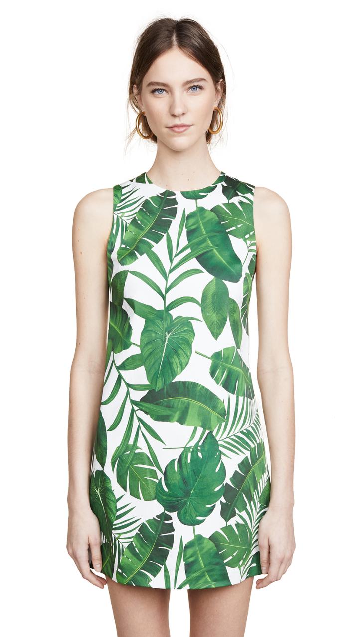 Alice Olivia Coley Crew Neck A Line Dress