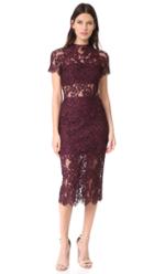 Alexis Leona Lace Dress