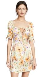 Ellejay Dana Dress