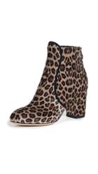 Charlotte Olympia Leopard Booties
