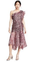 Opt Apus Dress