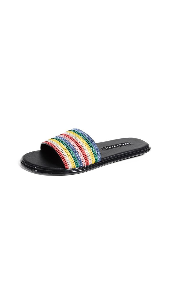 Alice Olivia Tami Slides