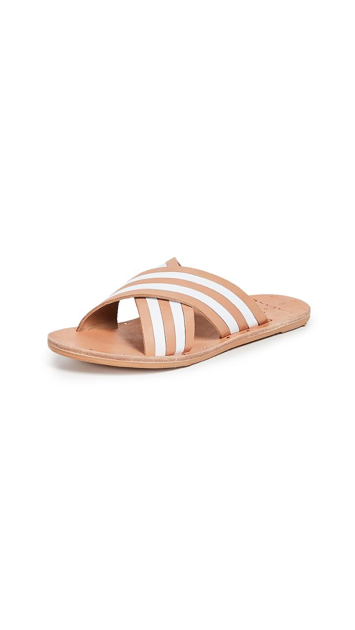 Beek Palila Collaboration Slides