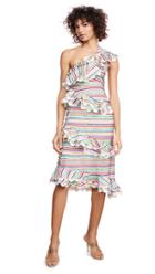 Celiab Majorelle Dress