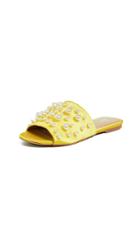 The Fix Faris Slides