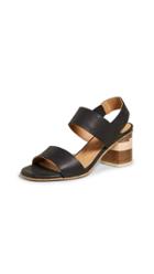 Coclico Shoes Bask Tri Color Sandals