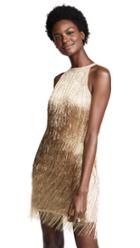 Rachel Zoe Nova Dress