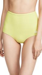 Solid Striped The Violet Bikini Bottoms