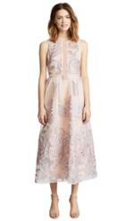 Marchesa Notte Sleeveless Cocktail With Lace Trim