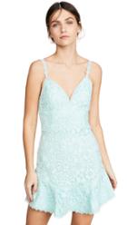 Alice Olivia Rapunzel Plunging V Nk Dress