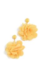 Shashi Posey Earrings