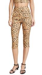 Nicholas Capri Pants