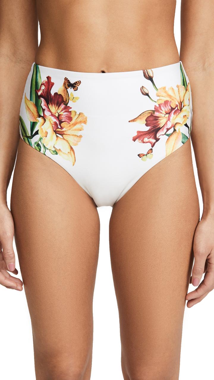 Agua By Agua Bendita Alicia Bikini Bottoms