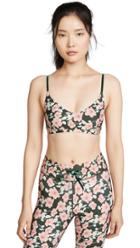The Upside Poppy Floral Ballet Bra