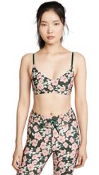 The Upside Poppy Floral Ballet Bra