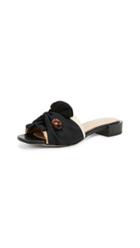 Dear Frances Bare Knot Slides