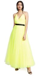 Alice Olivia Bitsy Pleated Tea Length Gown