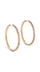 Area Large Classic Round Hoops