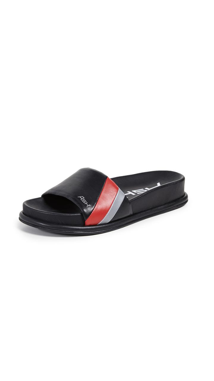 Ash Team Slide Sandals