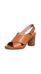 Madewell The Ruthie Crisscross Sandals In Leather