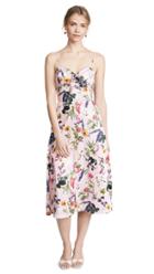 Bailey44 Puff Pastry Dress