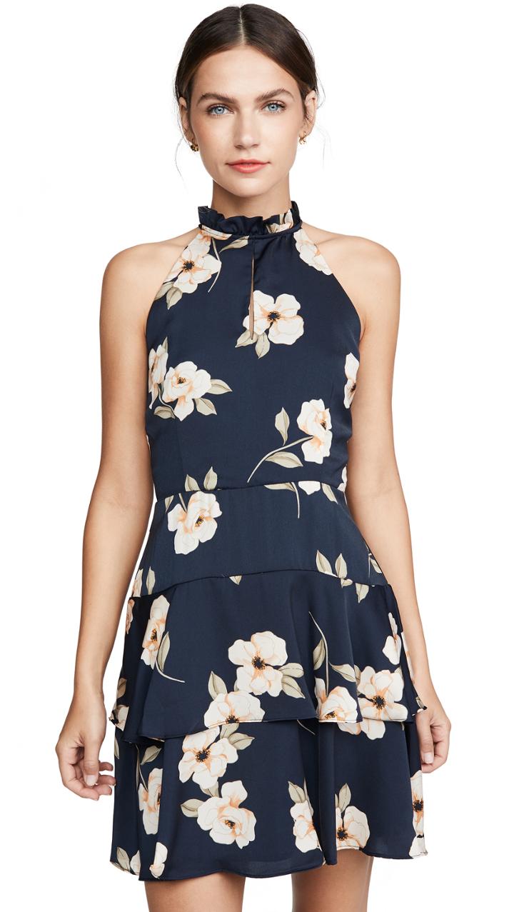 Bb Dakota Gardenia Party Dress