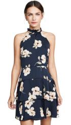 Bb Dakota Gardenia Party Dress