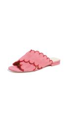 Isa Tapia Nueva Scallop Flat Sandals