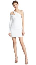 Cushnie Et Ochs Vittoria One Shoulder Dress