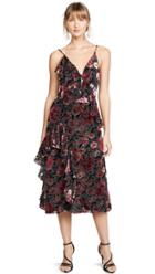 Jill Jill Stuart Velvet Devore Dress
