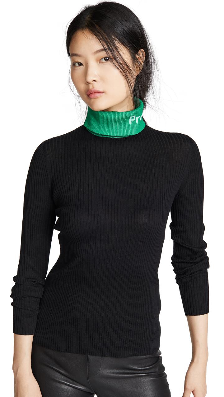 Proenza Schouler Pswl Long Sleeve Knit Turtleneck