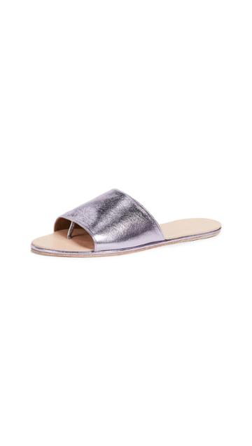 The Palatines Caelum Slides