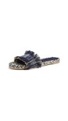 Paloma Barcelo Aqracejo Fringe Slides