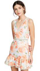 Alice Olivia Kirean V Neck Dress