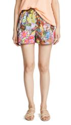 Whit Rocky Shorts