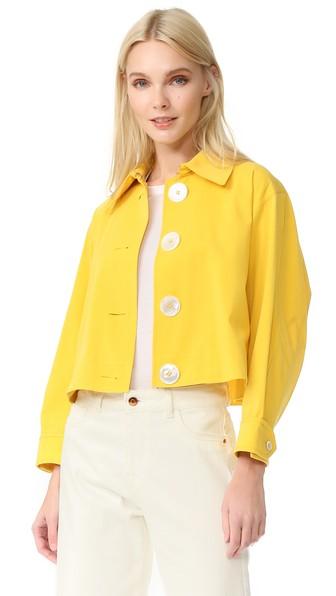 Edun Cropped Trench Jacket