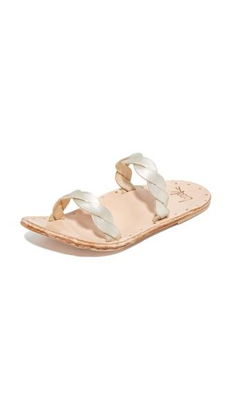 Beek Pipit Slides