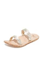 Beek Pipit Slides